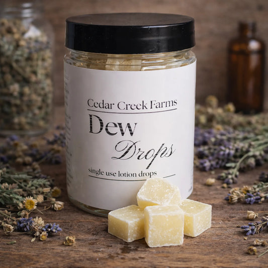 Cedar Creek Farms Dew Drops lotion cubes single use natural moisturizer in glass jar with herbal background